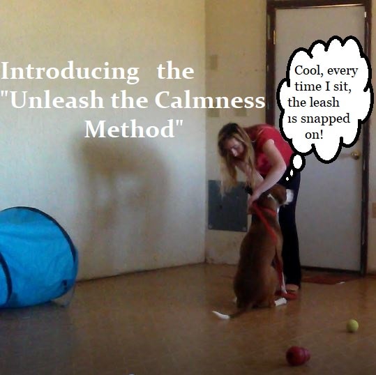 By teaching your dog to "sit" before a "clip," you encourage calm behavior.