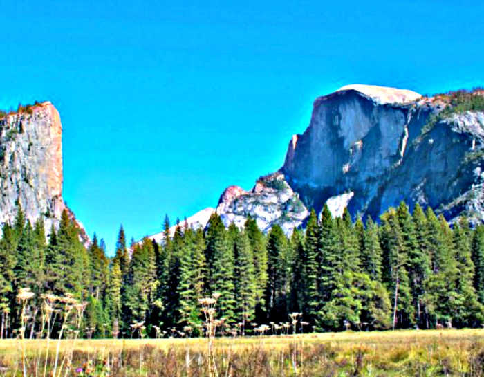 National Park campgrounds always limit visits so that more people to be able to enjoy them.
