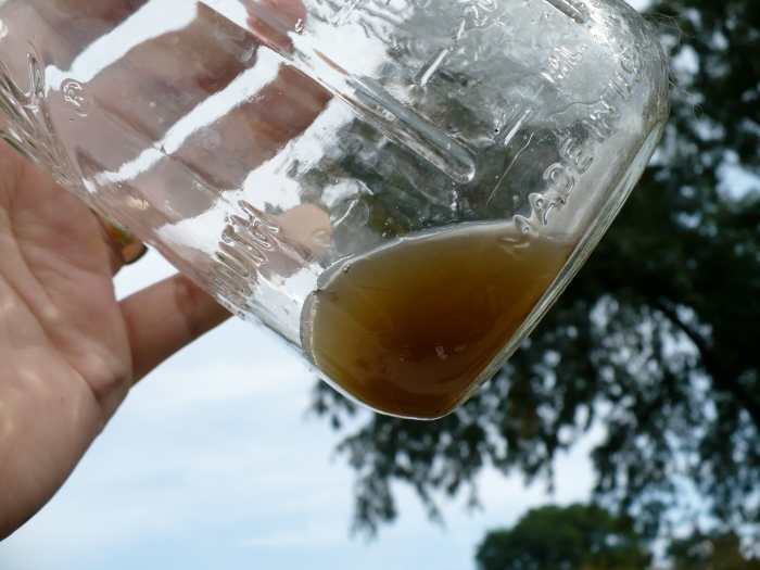 How to Check Brake Fluid AxleAddict