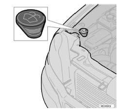 The is the icon for windshield wiper fluid. Don't pour radiator stop leak in here or you might have a big problem.