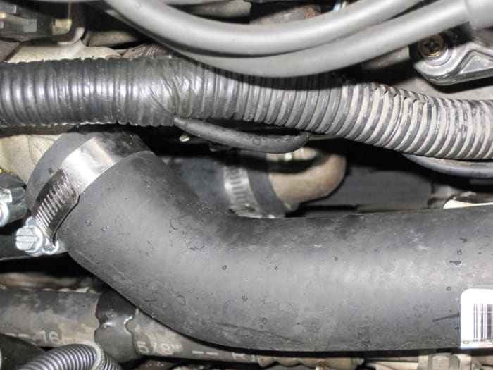 This photo shows the top radiator hose in the foreground and is taken from the passenger side of the vehicle looking over the fender.