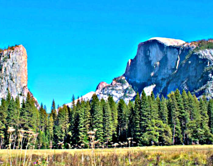 National Park Passes make staying at places such as Yosemite National Park cost effective.