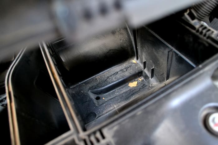 Looking inside the air box with the filter removed. You can see the accumulated dirt. It's a good idea to take a rag and wipe out the inside of the air box so that your new filter doesn't have to eat that dirt.