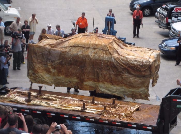 At the convention center, Miss Belvedere is lifted off the 50 year old storage brace that accompanied her in the vault. As they lifted, it became apparent that the bottom of the waterproof plastic bag had rotted away, thus allowing water to seep in.