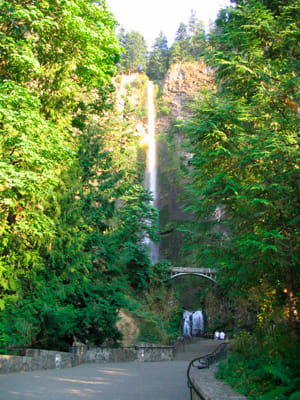 Multnomah Falls, Oregon's tallest waterfall, in the Columbia Gorge near the state's northern border.