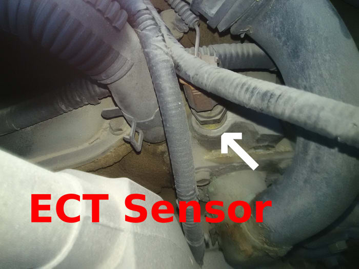 A faulty ECT sensor is one of the most common sources of rough idle on a cold engine.