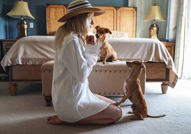 Woman Training Dog