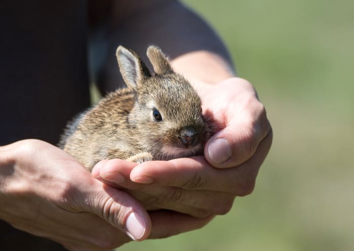 Acknowledging your co-worker's love for all creatures great and small by giving to an animal charity in her and her pet's names is a thoughtful way to let her know you support her.