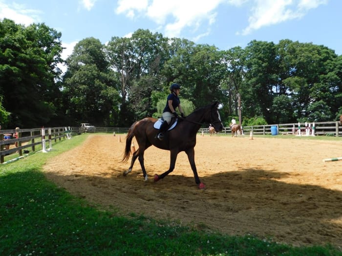 Trotting and posting go hand and hand. Just as trotting and checking diagonals do.