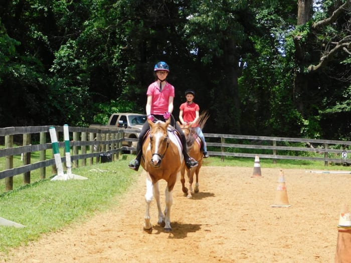 Riding in a show in the same ring they do their lessons in is quite a comfort to many new riders.