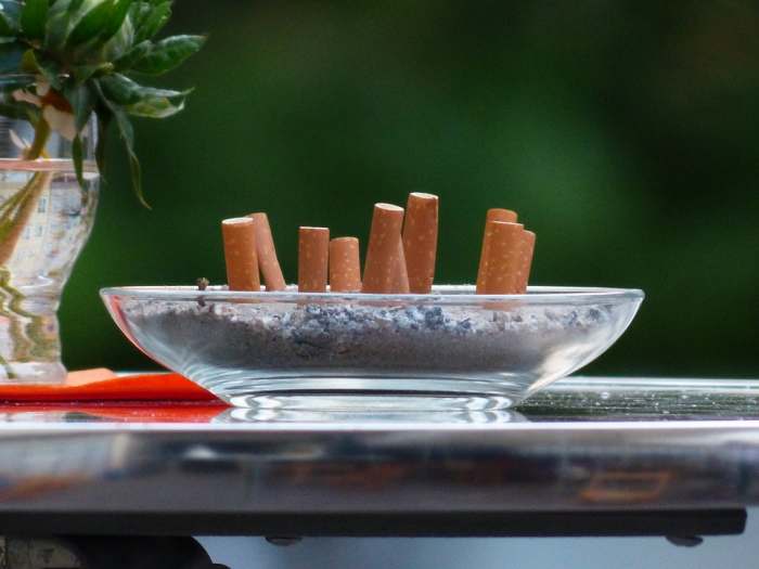 It's all too easy to forget the ash tray on the table. Make sure the cigarette remains stay out of pets' reach.