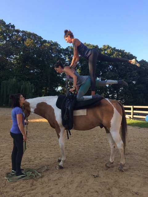 That's me on the top of that crazy vaulting move, probably just about a year ago. Now I can't walk without a walker.