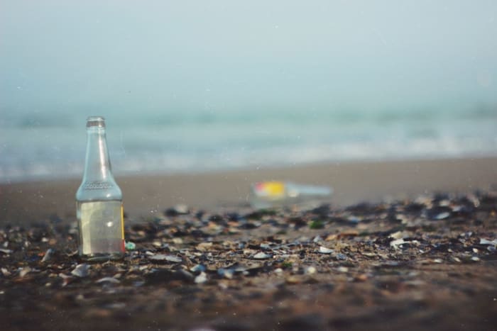 Trash is responsible for many pet injuries and deaths, especially glass and pieces of metal.