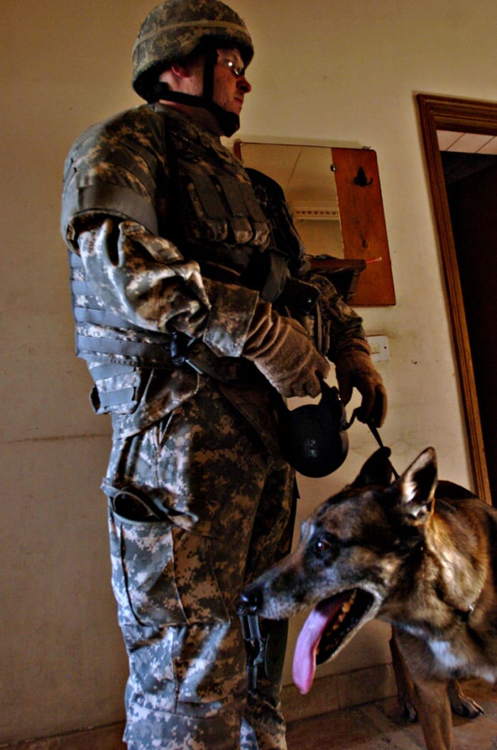 Zasko, pictured here with his military handler, is an air-scent dog trained to detect explosives and works in war zones