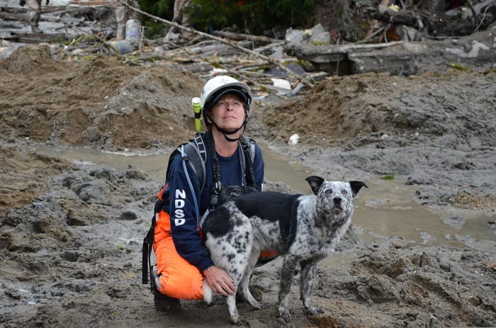 Working with Northwest Disaster Search Dogs, Lisa Bishop and her dog, Cody, watch the skies for the rescue helicopter to arrive