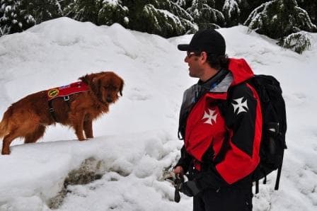 Murphy and his handler, Eric Seelenfreund, work together as part of an avalanche rescue team