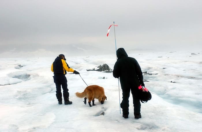 Volunteers from Bucks County Search and Rescue follow Tucker, a cadaver dog, during the recovery of a crashed aircraft