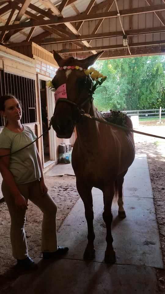 Don't blame the horse!! Considering all I put my horses through it's lucky they let us ride them at all!