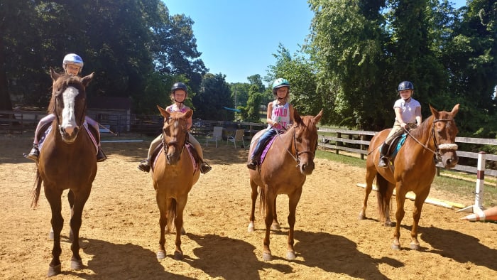 Lesson barns are filled with great horses who all have something to teach their riders. Don't let it ruin your whole lesson that you looked forward to all week just because you didn't get the horse you wanted. Embrace the learning opportunity!