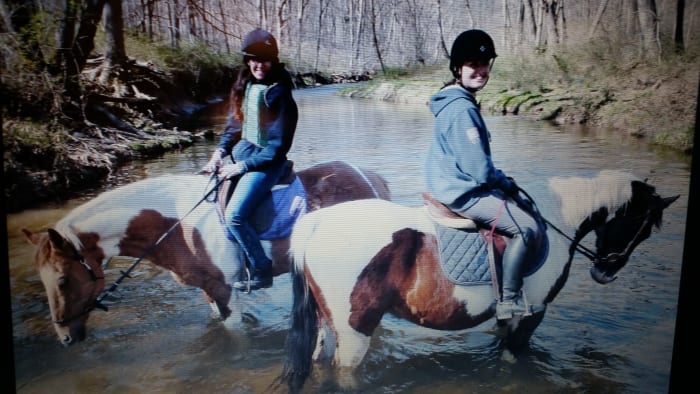 Does the horse stay at the owner's farm for boarding or can you move it somewhere else? Also can you take it off the property for trail riding or shows? These questions must be worked out.