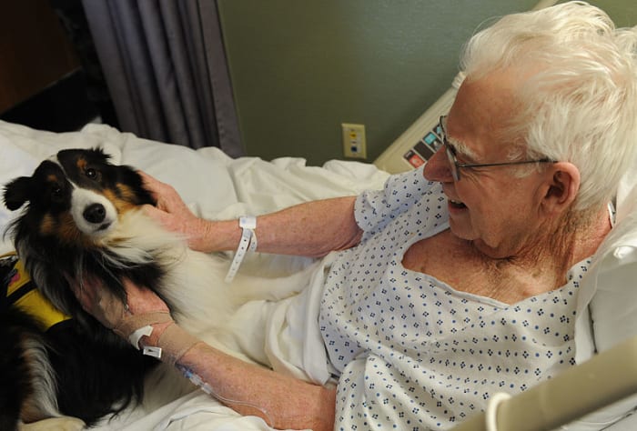 Illness is a great stress factor. Here, Langley the official therapy dog brings emotional comfort to a patient.