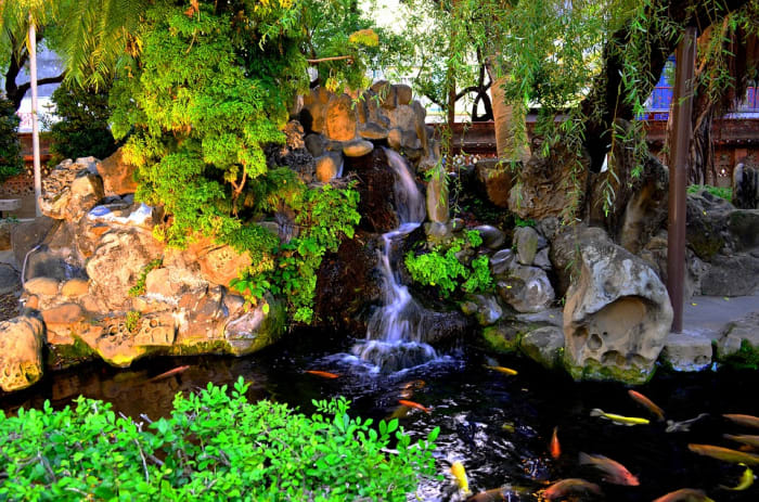 It's not unusual to find koi pond builders at clubs, who can provide great advice or services to create your own spectacular koi pond.
