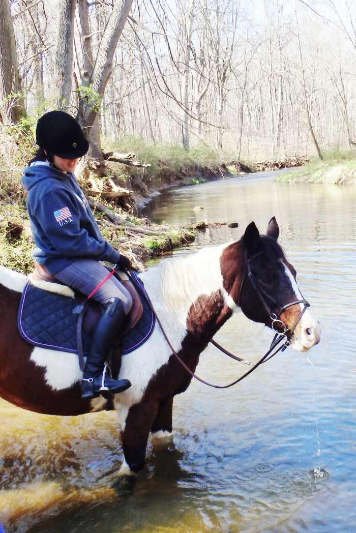 Buddy was a move-up horse for my friend Megan. I think she would credit him for many of the lessons she learned—also the fact that she is now a very confident rider.