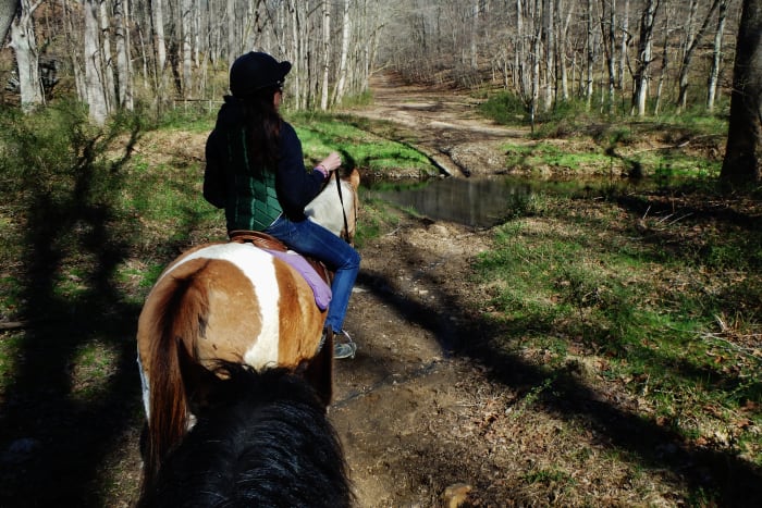 Chaps is one of my lesson horses that always loves to get out on a trail ride every once in a while.