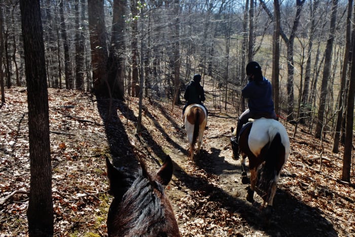 I recommend a first trail ride to be in a smaller group rather than a larger one. Just for safety reasons.
