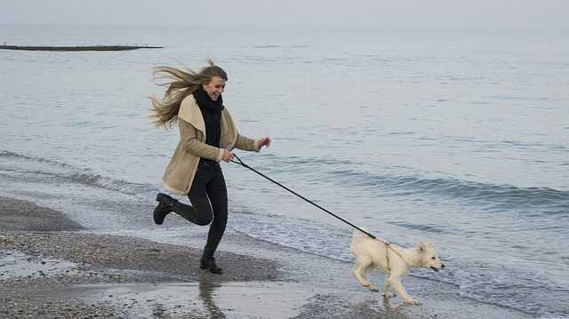 Does your dog need dietary supplements? Most vets think probably not. Unless he has a specific illness, a good, balanced diet, water, and plenty of fun and games should be all he needs to stay healthy and happy