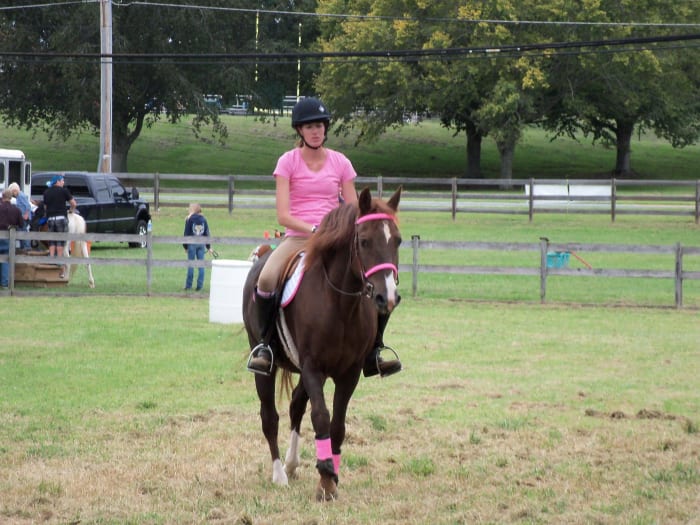 Dublin is over 20. He requires medication because he became insulin-resistant. He is still working hard in our program and is comfortable and happy.