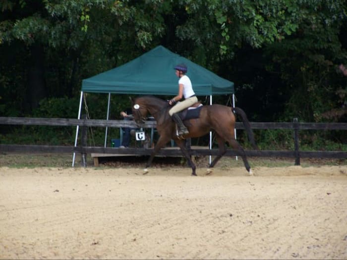 My personal horse, Kemerton, had a long racing career, and then I used him for dressage and eventing. Before retiring, he required a lot of supportive care.