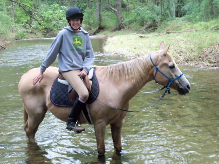 Cory again. He lived a great life and was used lightly until the end of his life! He was my trail horse of choice for years.