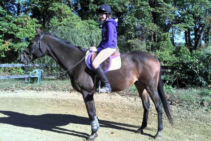 My horse Kemerton, back in the day all clipped up for winter. He had to wear multiple blankets and multiple coolers to keep him warm!