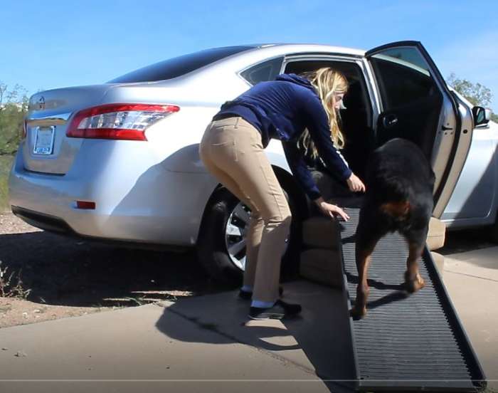 The Hard Work Has Paid Off: Kaiser Walks up the Ramp to Get in the Car