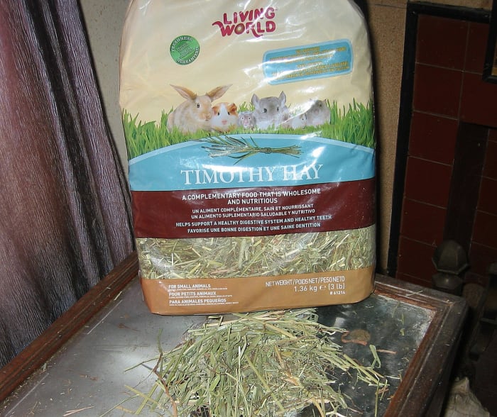 Timothy Hay - O alimento mais importante de um coelho.'s most important food.