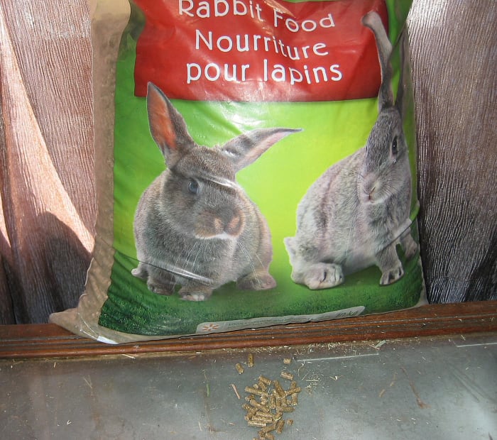 Peletes de coelho - um presente de boas-vindas para qualquer coelho.
