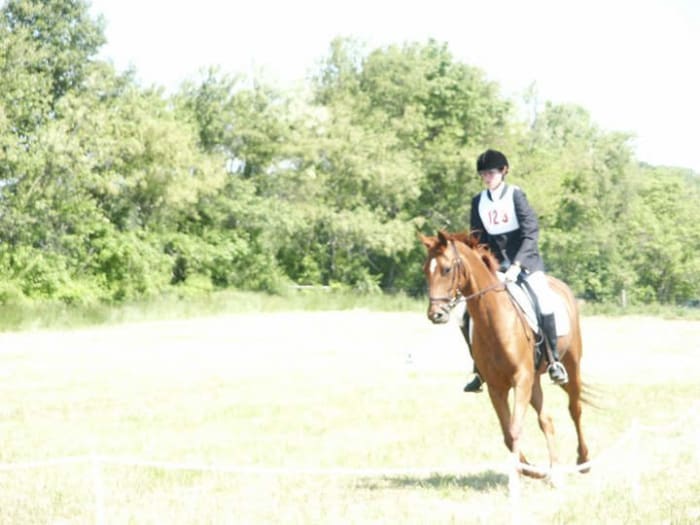 Looks like the Z mare was moving off my outside leg, but from this angle at least it appears she was dropping her inside shoulder a bit.