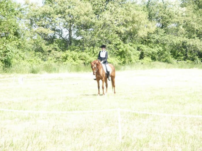 Straight lines are necessary for square halts and straight center lines if you are doing dressage.