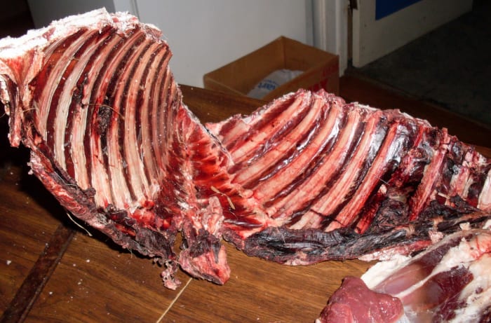 Make angle cuts, as shown, near the spine, to get at steak sections. Start at the front or back of the rib cage, whichever is easier.