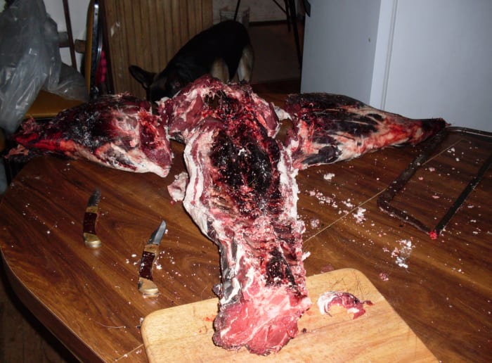 To cut off rear legs, start at flank, and twist joint as you cut. Knife should follow a line along ball of hip joint, and give a clean cut. This is easiest with the carcass belly down.