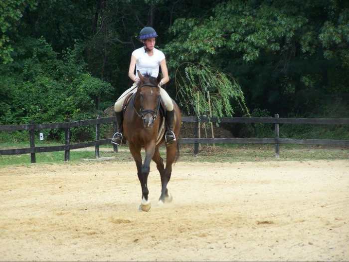 Some horses, like Kemerton, I rarely needed to use a whip on, just carrying it made a difference!