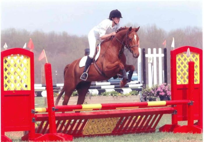 I don't ever jump without a whip in my hand, just because if the horse would decide to stop or need encouragement, I want to be prepared, rather than the horse get away with something bratty.