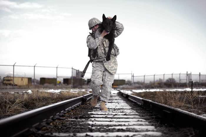 Military Service Dog