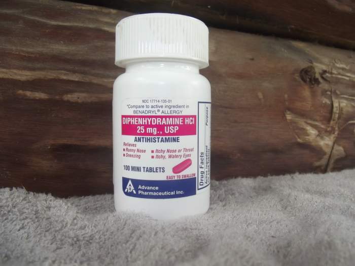 Allergy Pills That Can Help Your Itching Dog When You Cannot Visit the