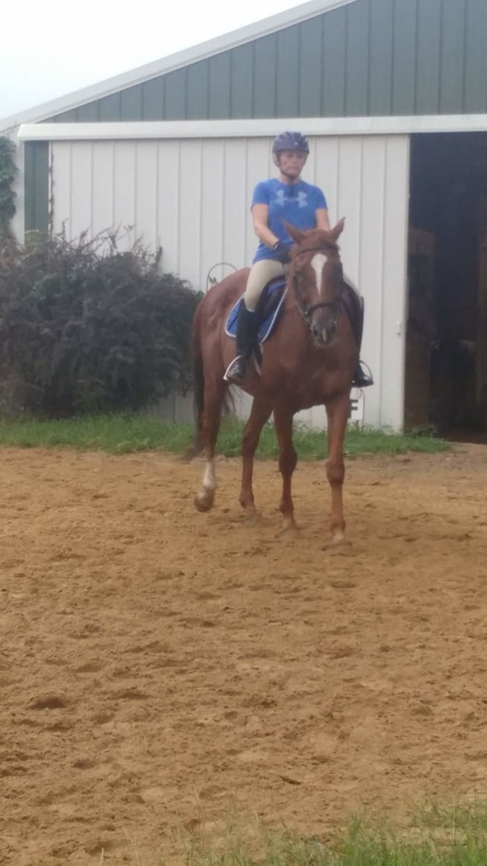 We can see that Cool has a nice bend to his body and is not leaning in on the circle. He is getting the correct cues, inside leg on and lifting his shoulder ever so slightly with the inside rein.