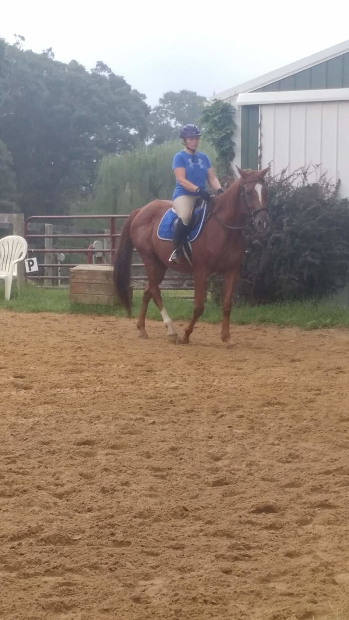 Cool is showing a nice soft bend, and keeping his inside shoulder up on his own, as you can see in the softness of the rein contact. You can see though, her hand position is still correct and she could lift his shoulder if she needed to.