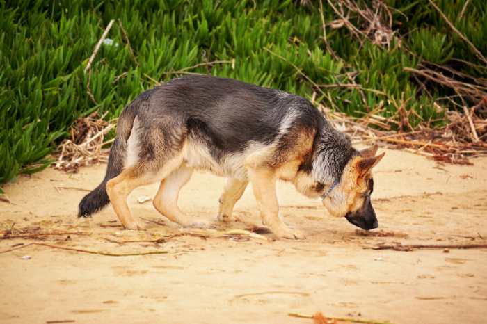Tick Prevention Products are an Option