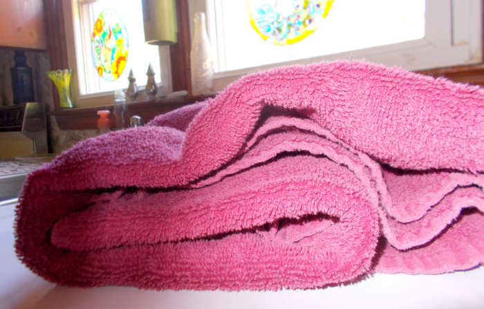 Taking a towel to the shelter with the scents of other dogs, cats, and people in the house may help you judge whether your home is right for the new dog.