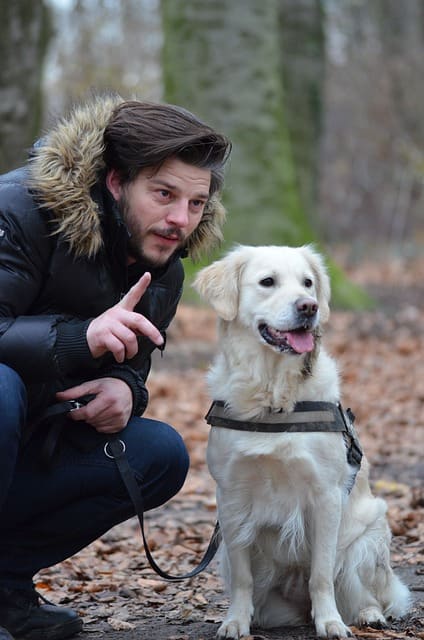 Man instructing dog